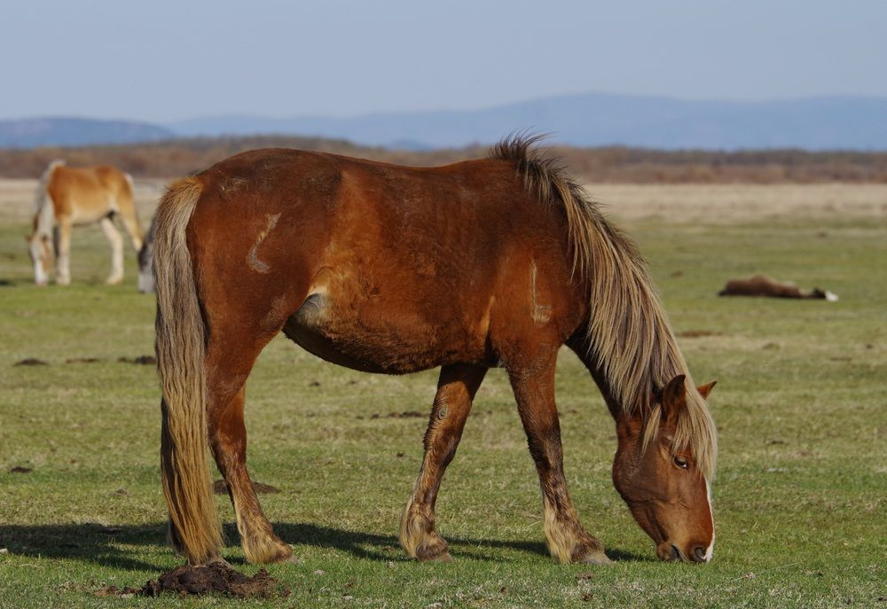 Photograph by Андрей Корытов