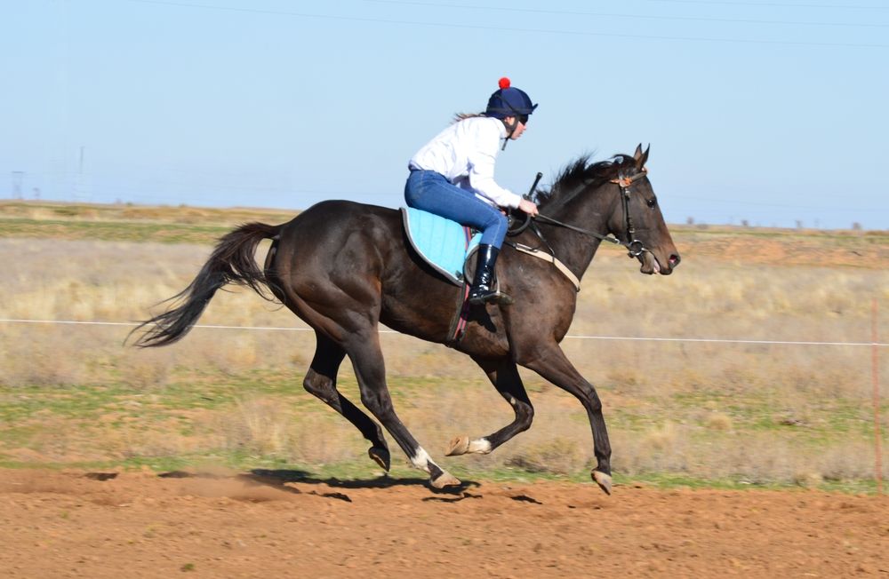 Photograph by Евгения Сапон