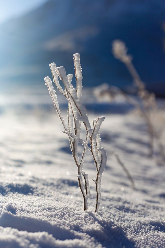 Photograph by Hamid espanani