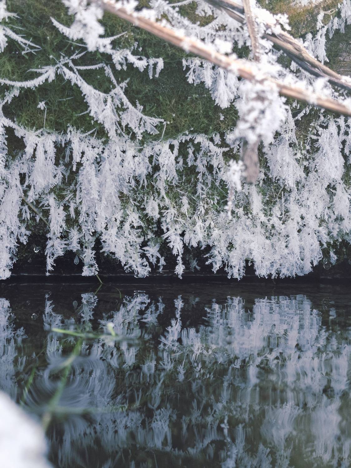 Photo #13019208