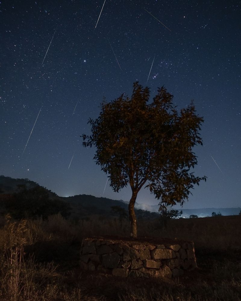 Photograph by Anikesh Raj