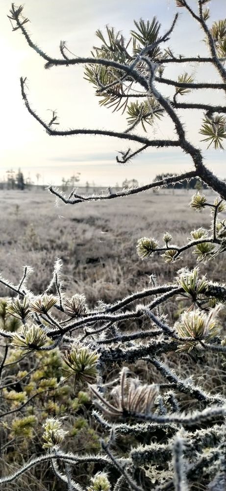 Photograph by Elena Zhelezova