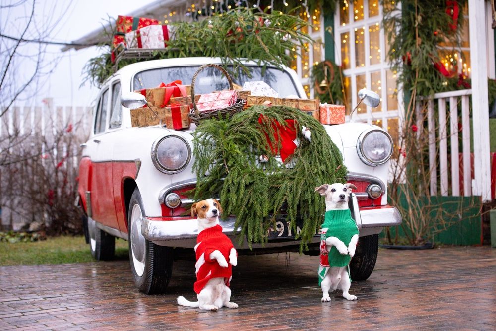 Photograph by Ольга