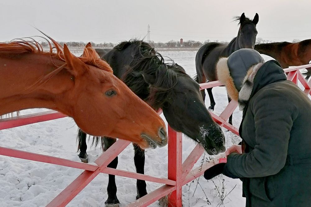 Photograph by Игорь Седунов