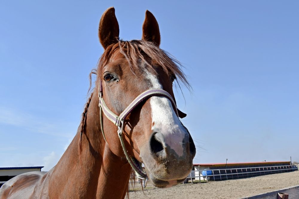 Photograph by Игорь Седунов