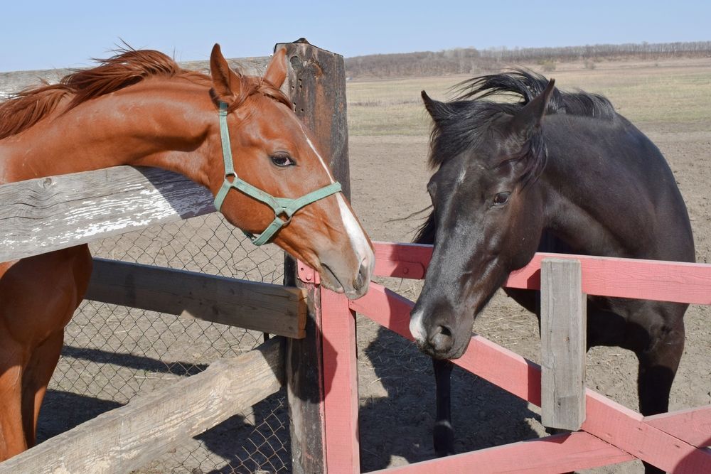 Photograph by Игорь Седунов