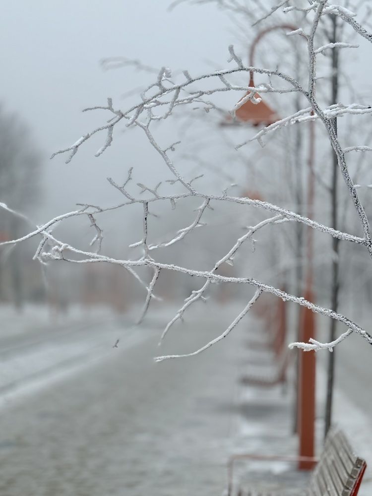 Photograph by Валентина Колесова