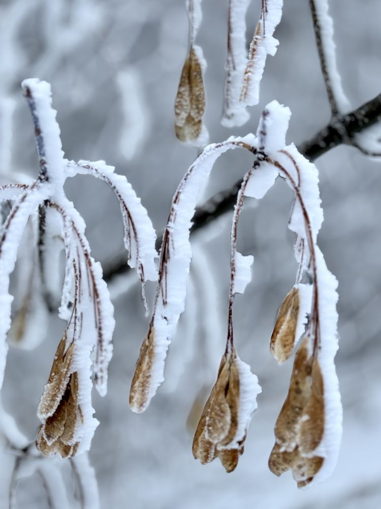 Photograph by Валентина Колесова