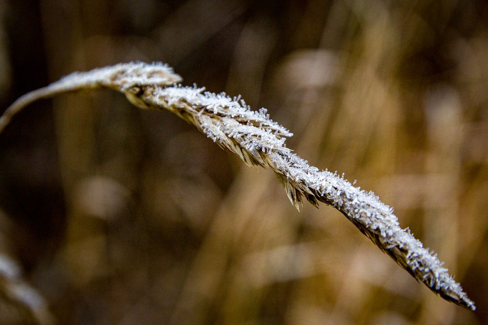 Photograph by Александр Суворов