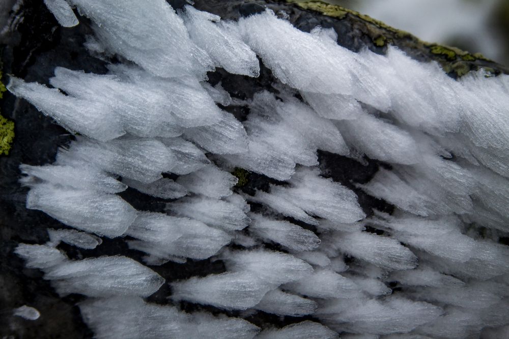 Photograph by Александр Суворов