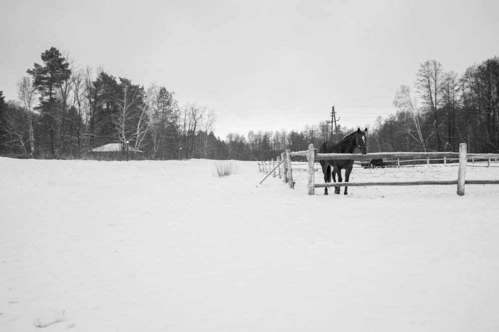 Photograph by Дана Трубиньш