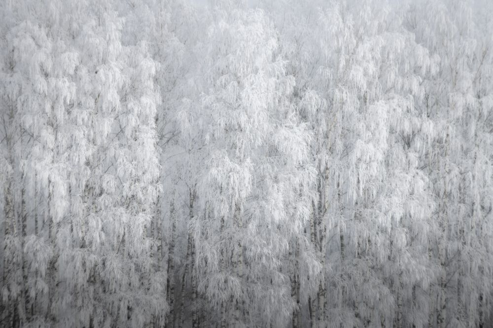 Photograph by Татьяна Романова