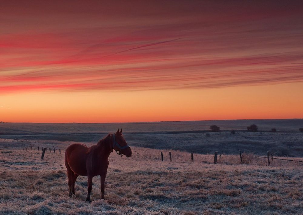 Photograph by Владимир
