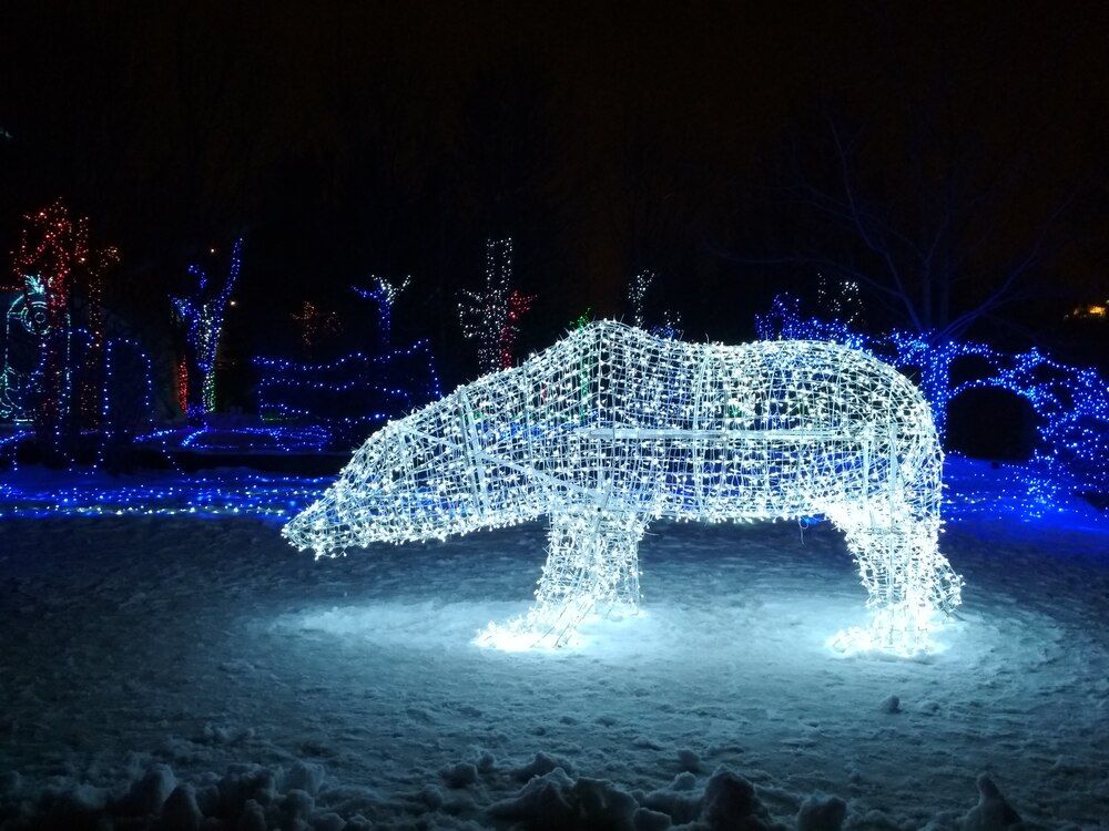 Photograph by Ekaterina Kazarez