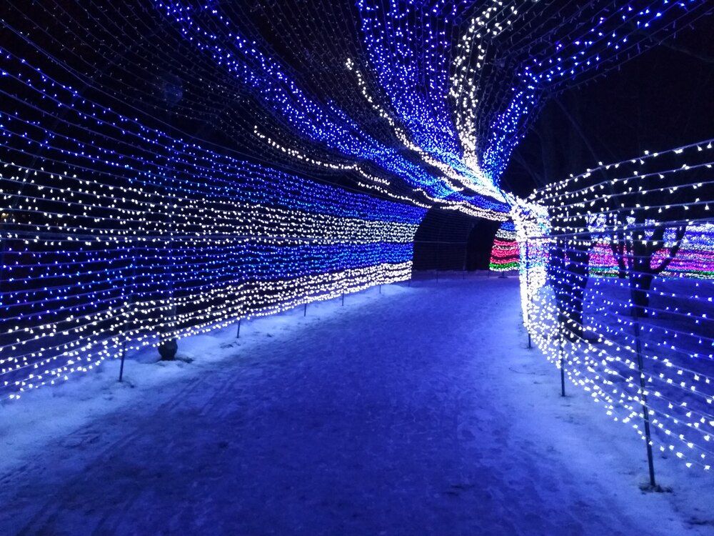 Photograph by Ekaterina Kazarez