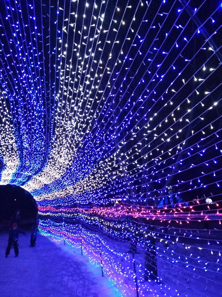 Photograph by Ekaterina Kazarez