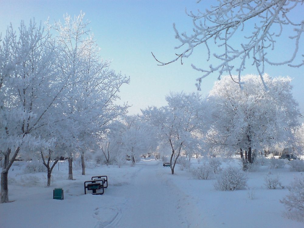 Photograph by Игорь Седунов