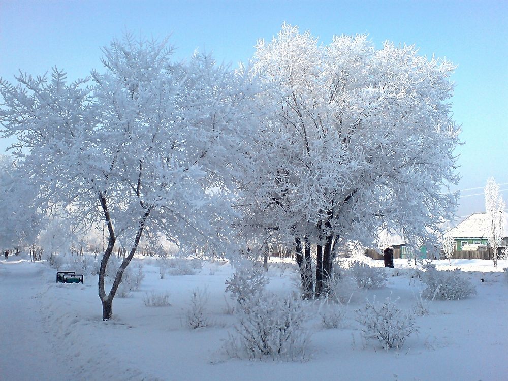 Photograph by Игорь Седунов