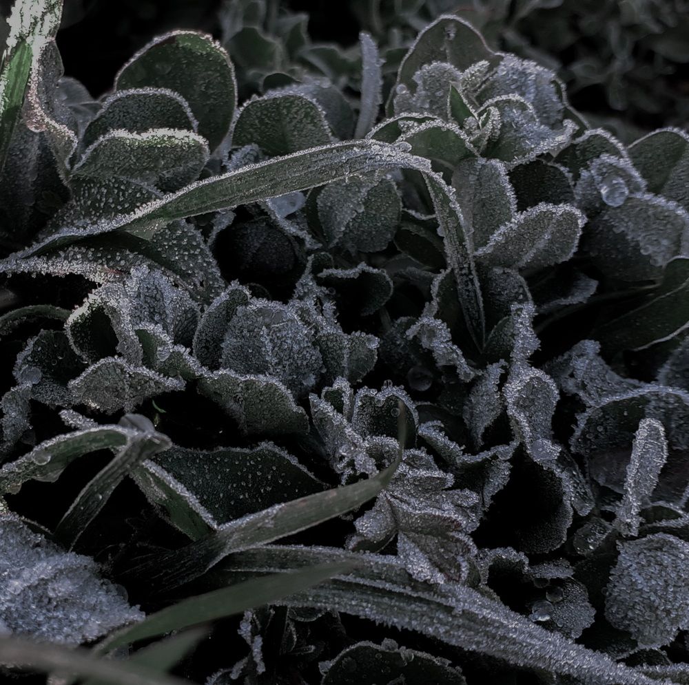 Photograph by Кристина Присяжная