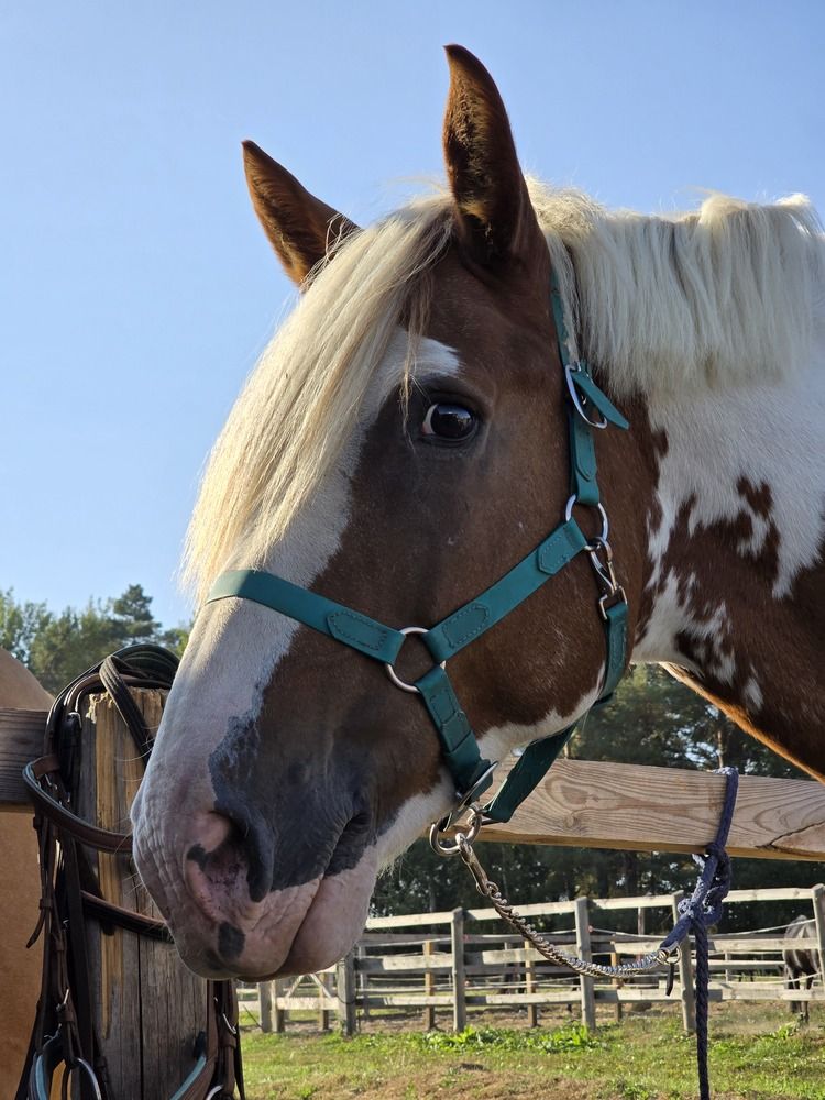 Photograph by Ekaterina Kazarez