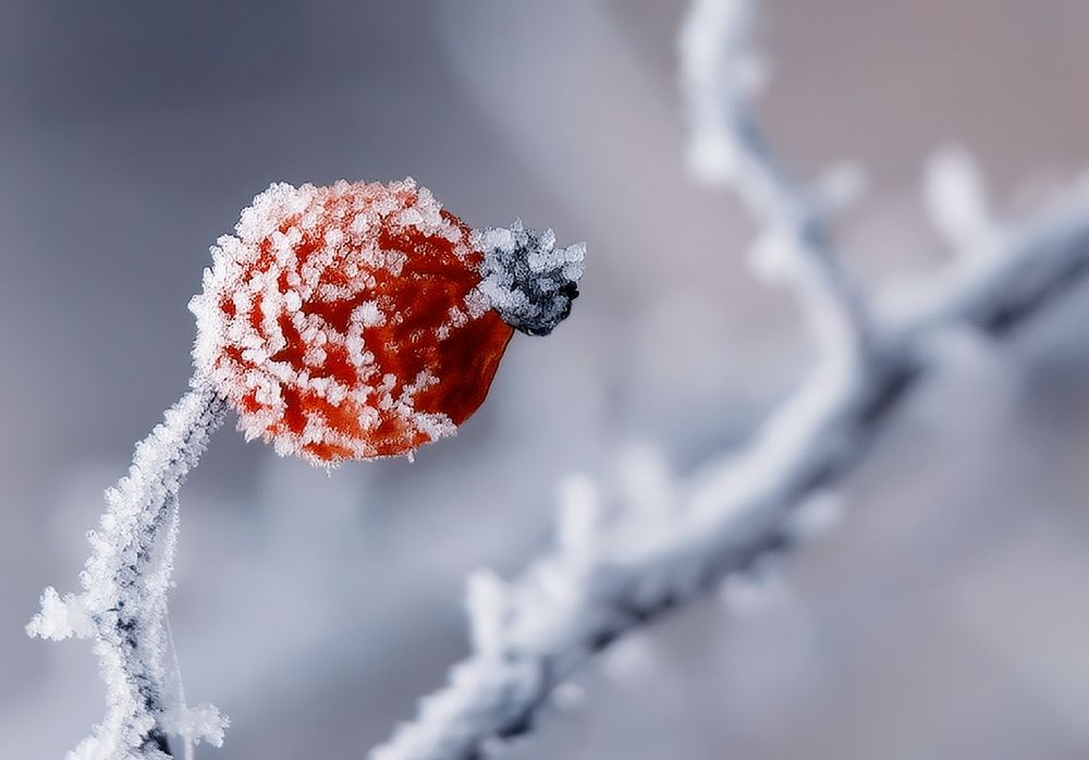 Photograph by Владимир