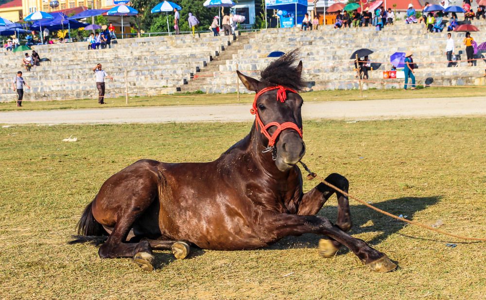 Фотография автора QUAN NGUYEN HUNG