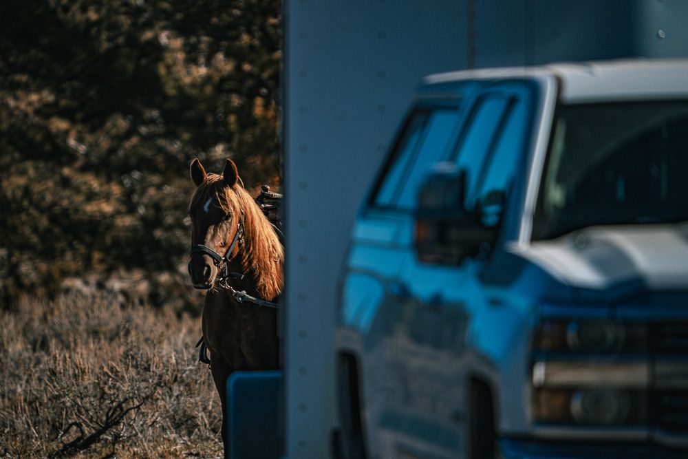 Photograph by Athul Konikkara