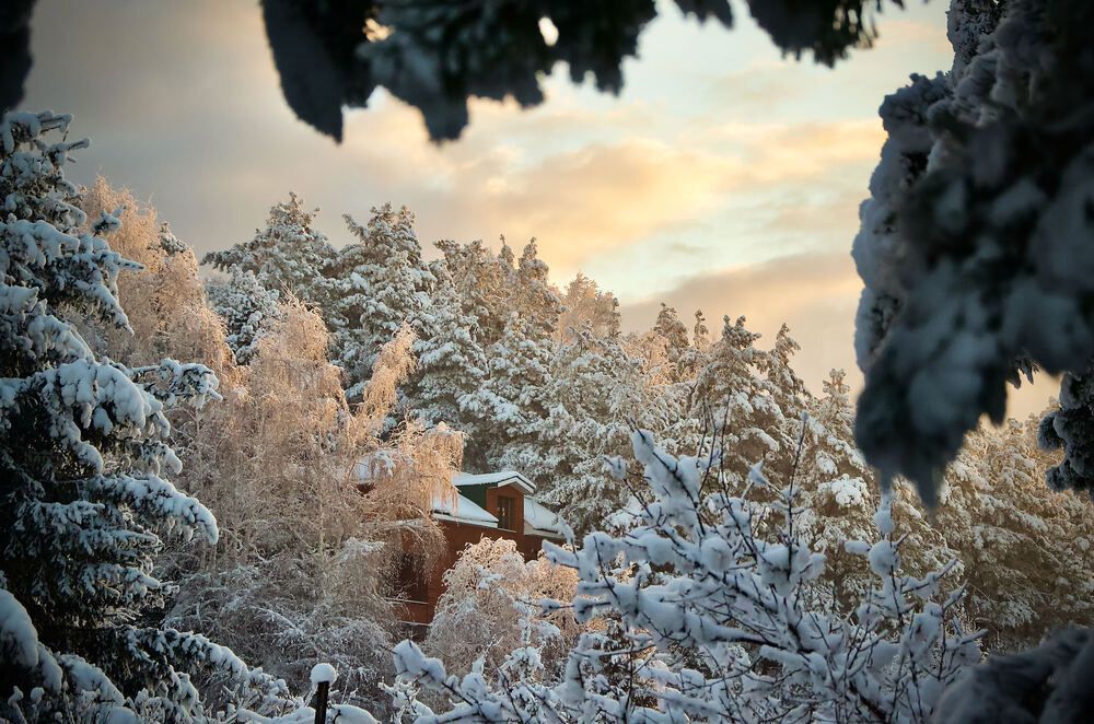 Photograph by Сергей Мур