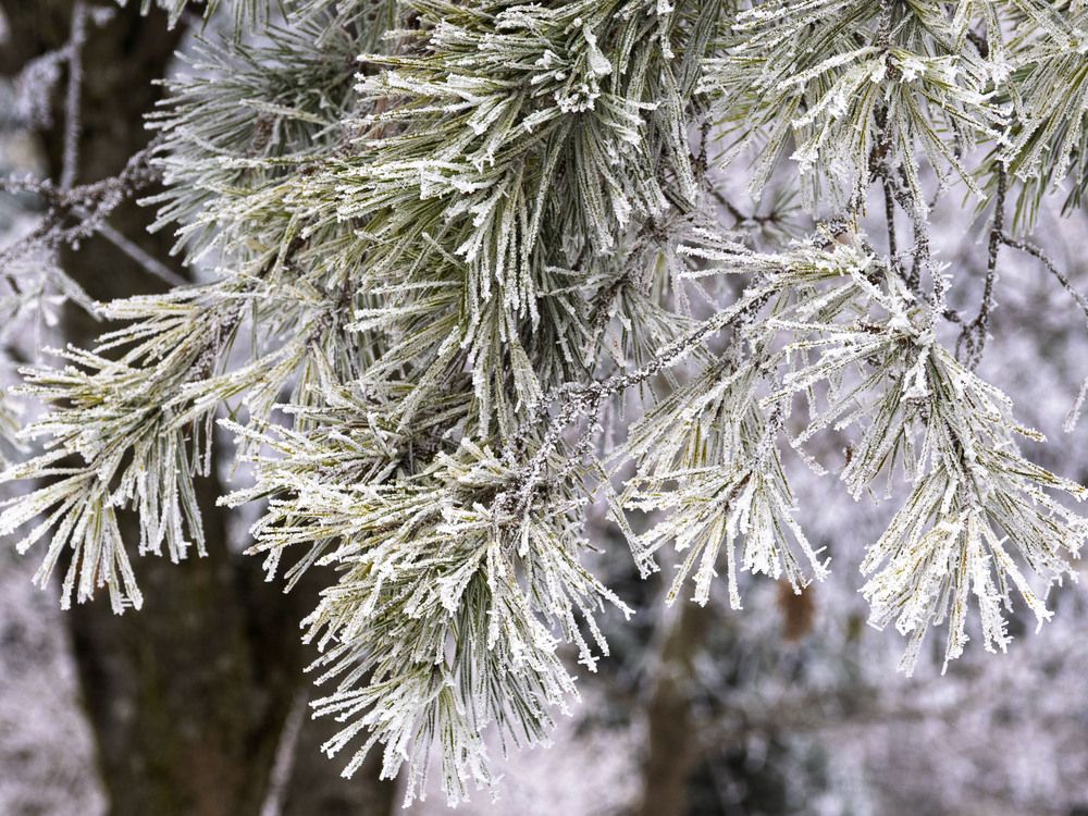 Photograph by Борис Полтавец