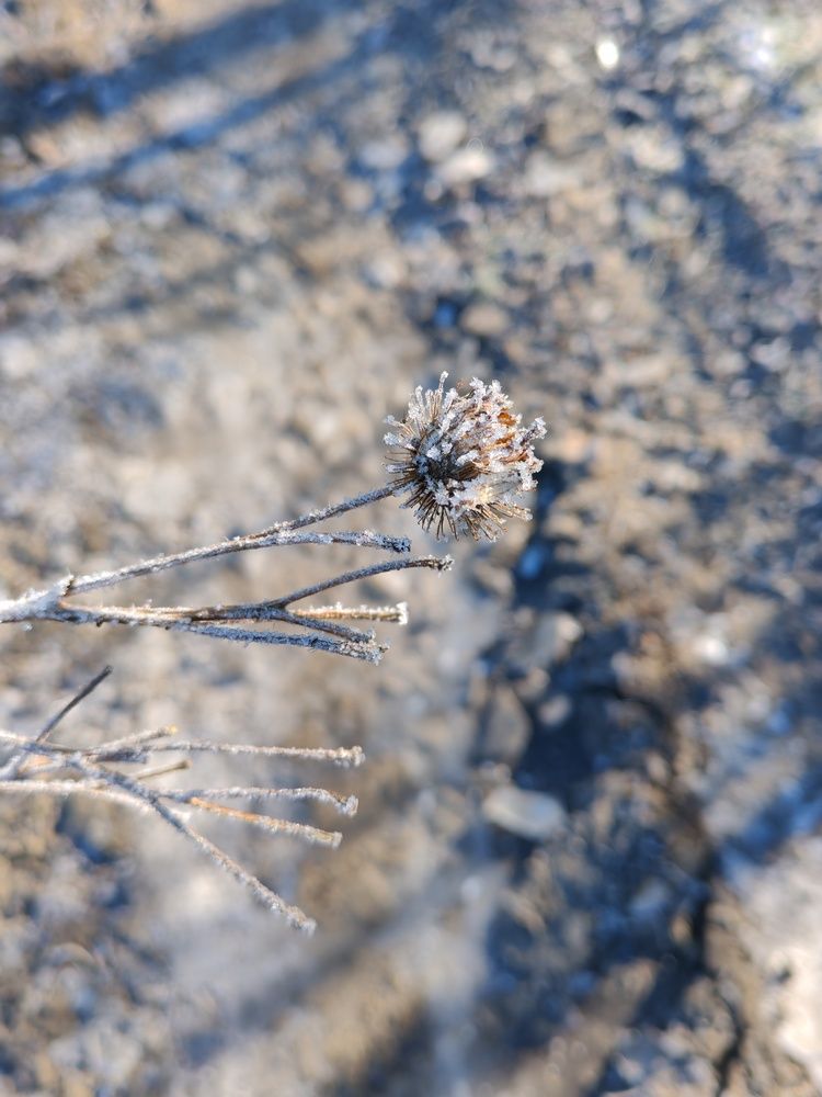 Photograph by Юлия