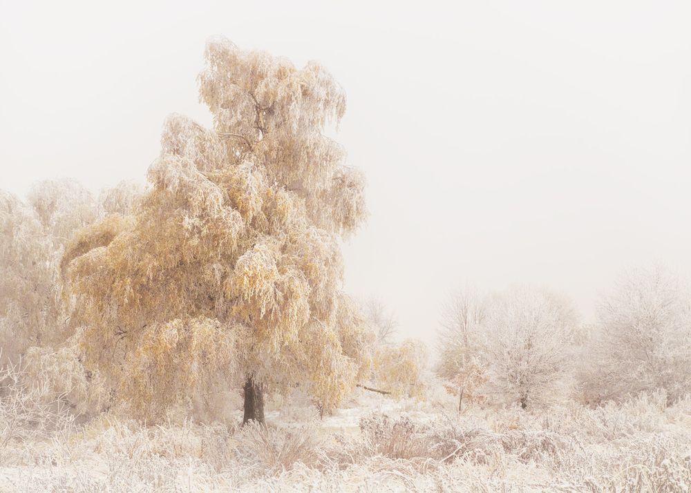 Photograph by Vania Tonova