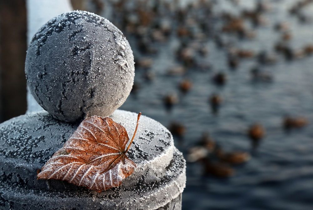 Photograph by Бибичков Михаил