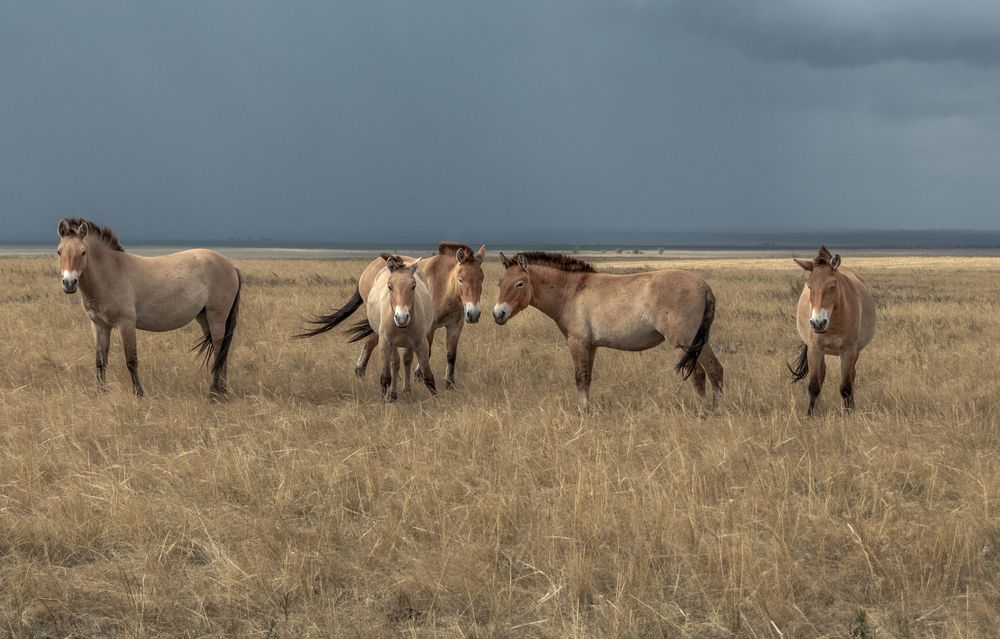Фотография автора Анна Стрелковская
