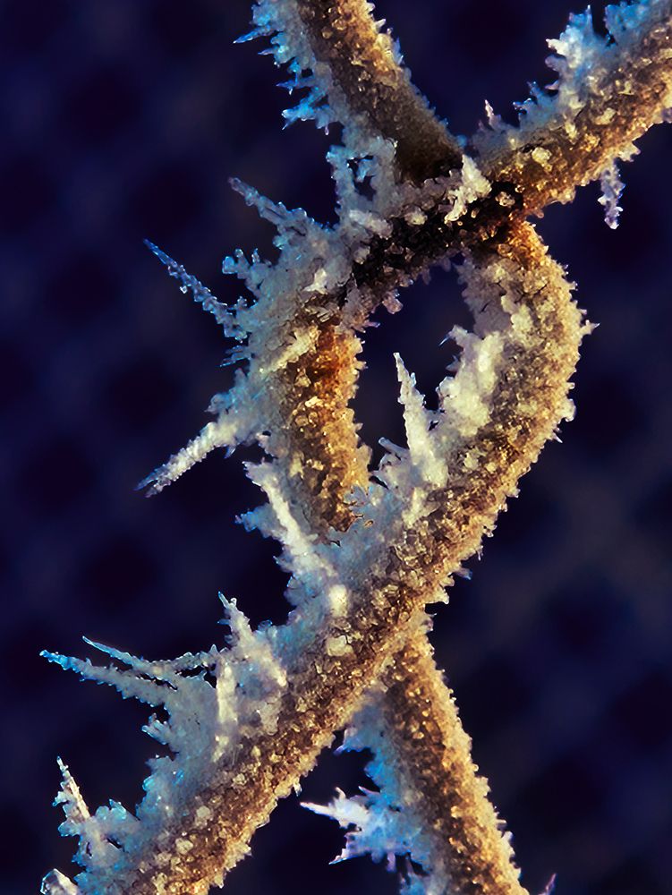 Photograph by Светлана Широкова