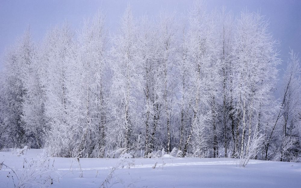 Фотография автора Татьяна Добровольская