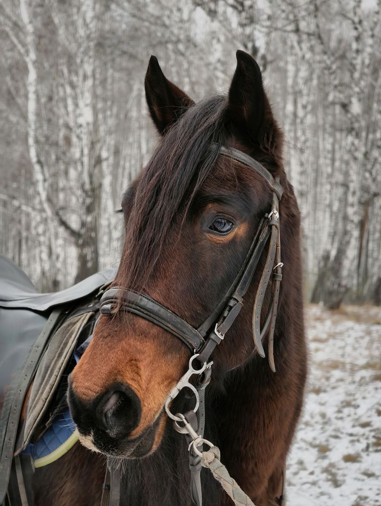 Фотография автора Кухта Мария