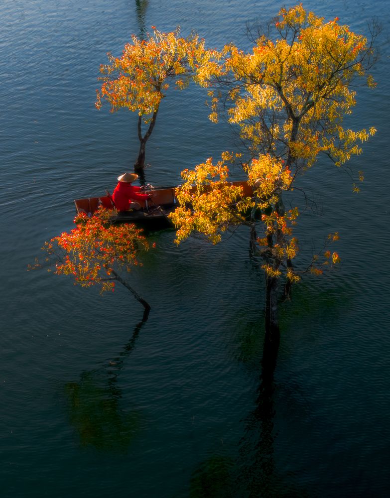 Фотография автора Lê Huy Anh