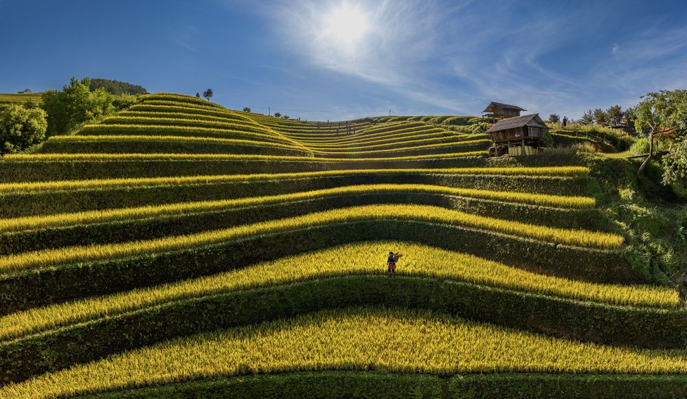 Фотография автора Lê Huy Anh