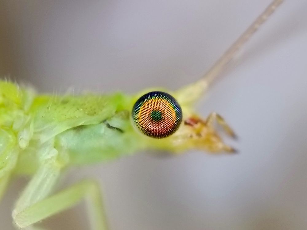 Photograph by Александр Казачек