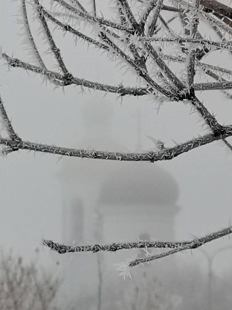 Photograph by Alexey Reznichenko