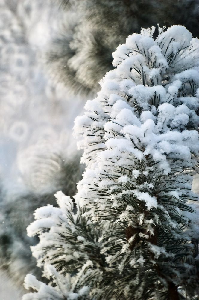 Photograph by Сергей Мур