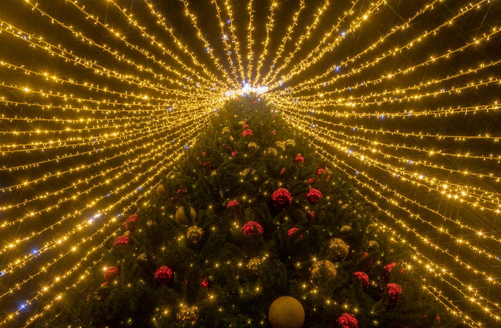 Фотография автора Alexander Pakhomov