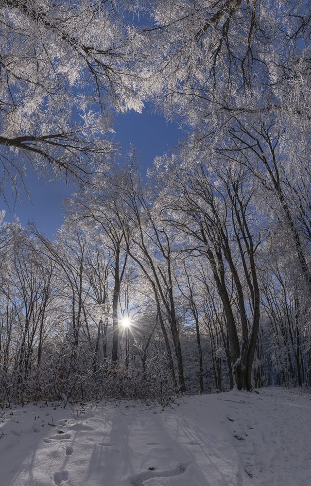 В серебряном объятии