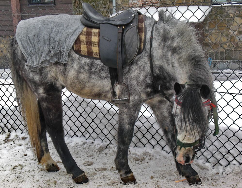 Photograph by Анастасия Смирнова