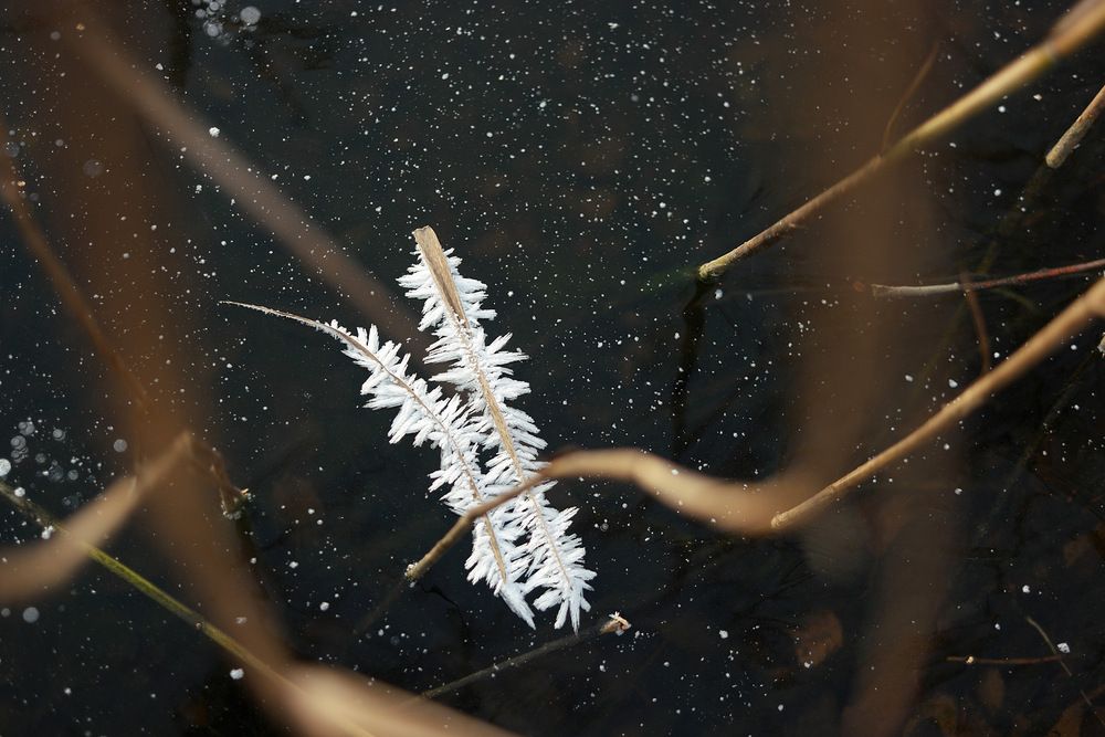 Photograph by Дмитрий Ткаченко