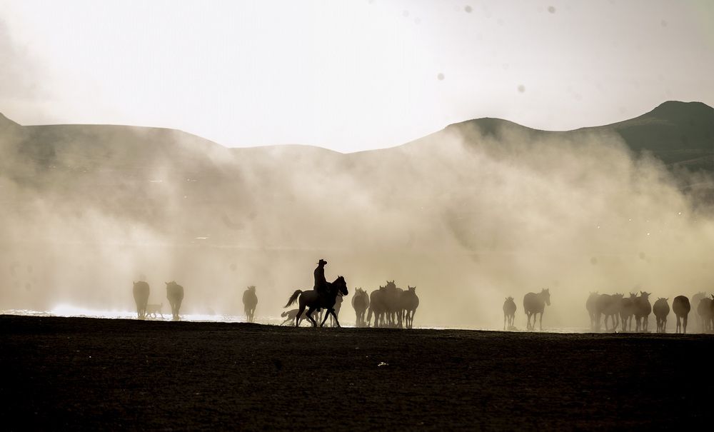 Фотография автора DAMOUN POURNEMATI
