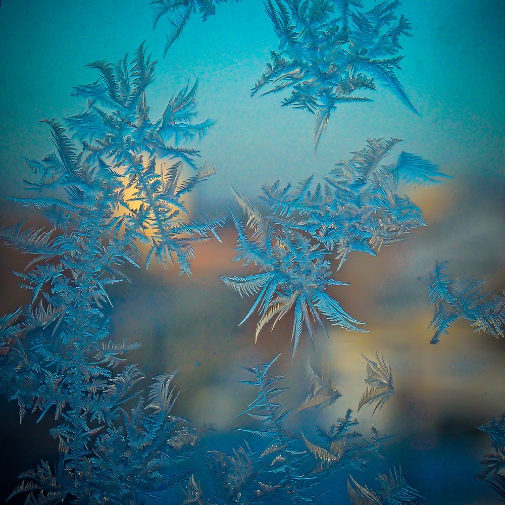 Фотография автора Гоголев Игорь