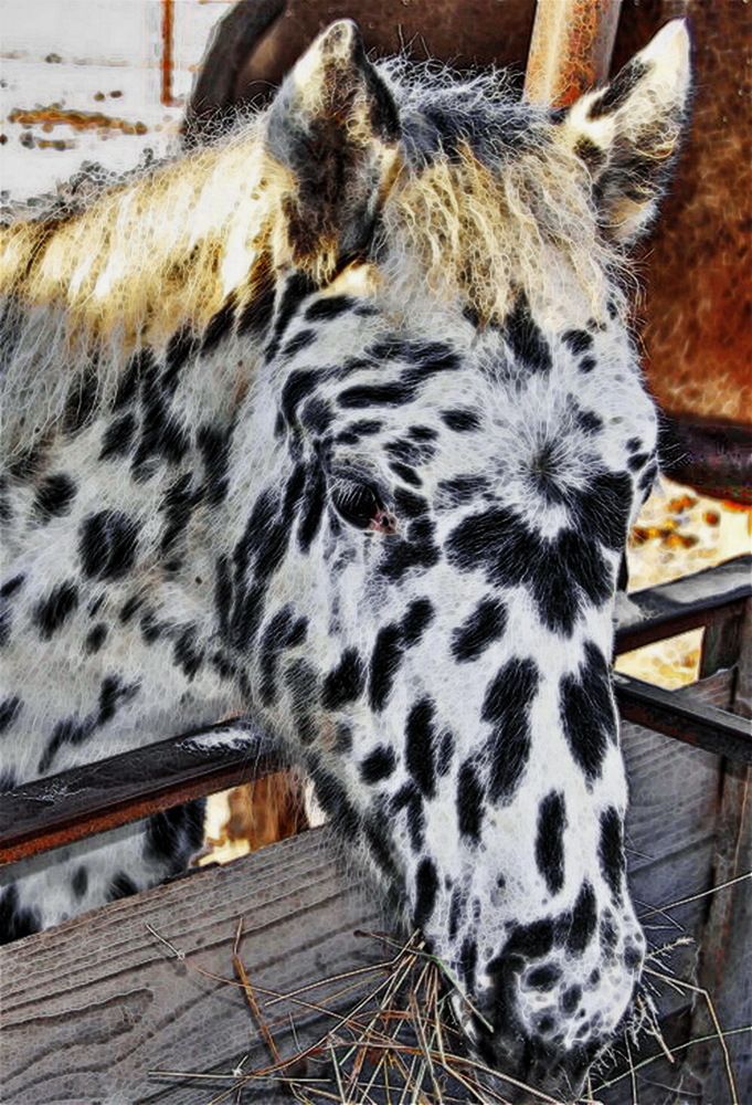 Photograph by Анастасия Смирнова