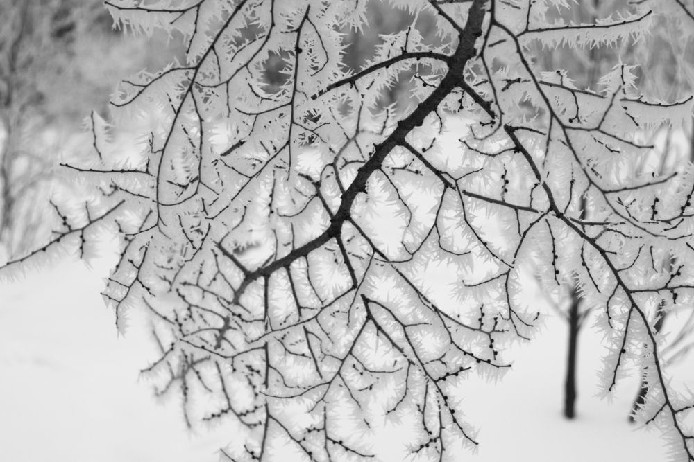 Photograph by Родосская Нонна