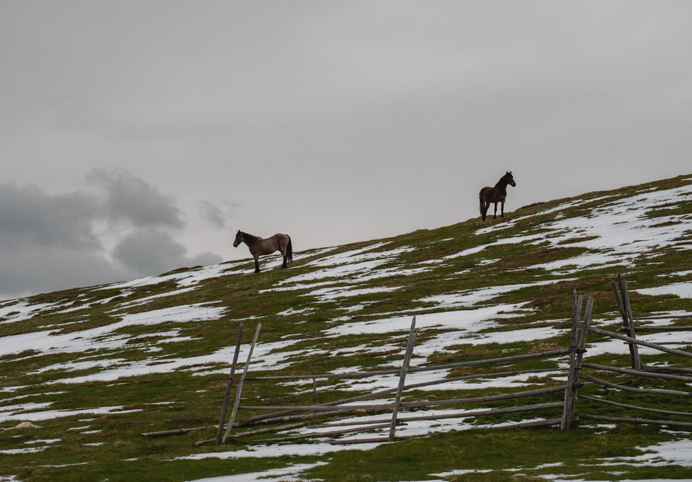 Фотография автора Uljana Kuchar